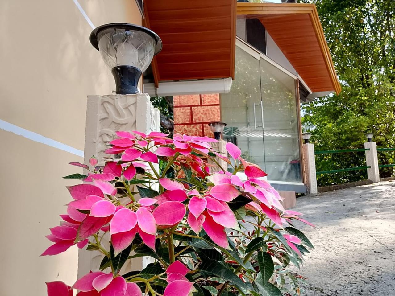 Cloudscape Homestay Pīrmed Dış mekan fotoğraf